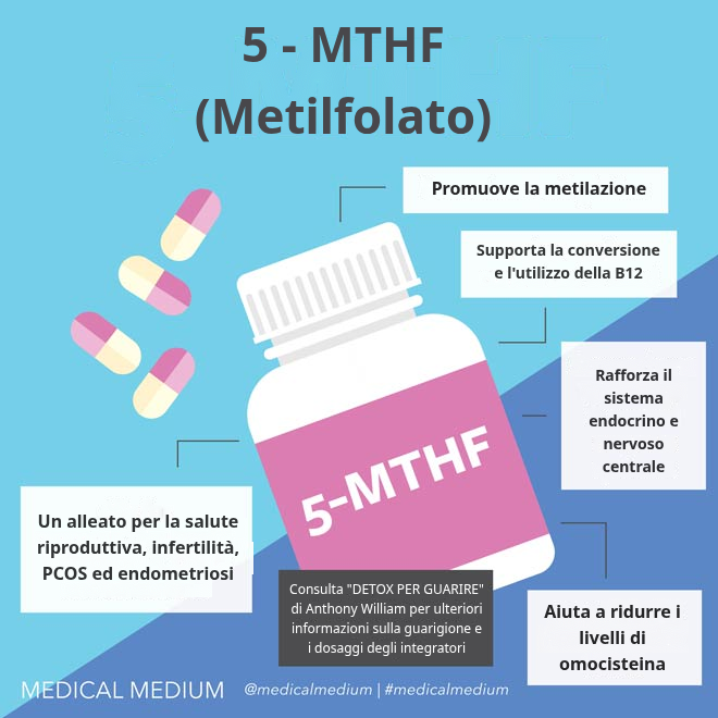 5-MTHF: Il migliore amico della B12