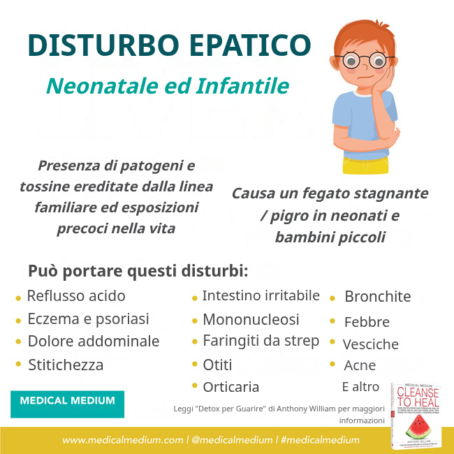 Fegato del Neonato e del Bambino