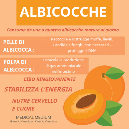 Albicocche: Il Frutto del Ringiovanimento