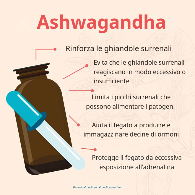 Ashwagandha: Potenziatore delle Ghiandole Surrenali