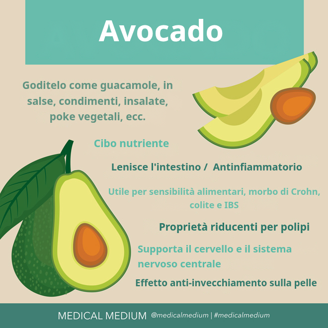Avocado: Il Nutrimento