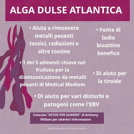 Dulse Atlantica: Rimozione di Metalli Pesanti e Radiazioni