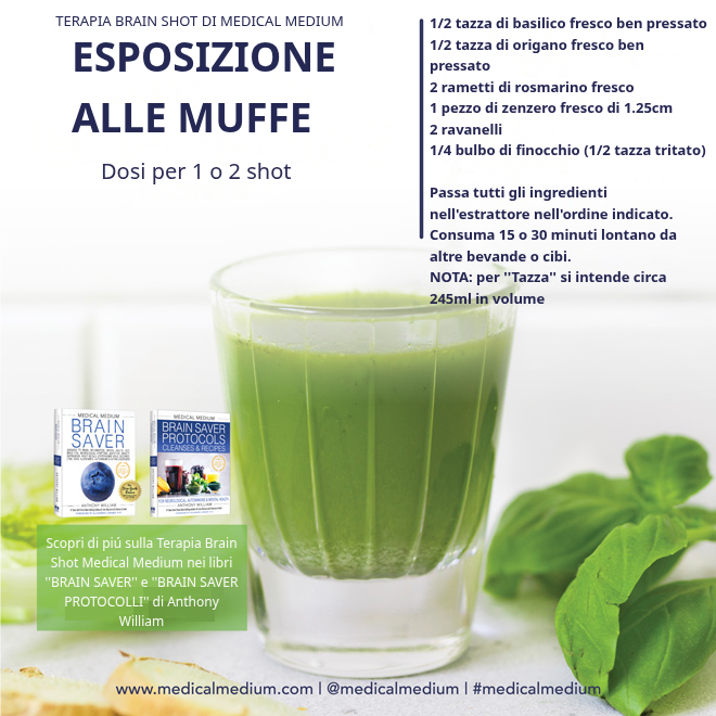 Esposizione alla Muffa
