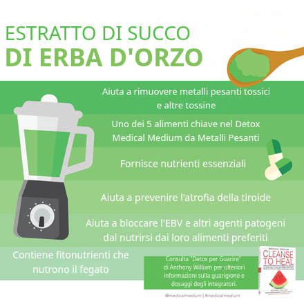 Estratto in polvere di succo di erba d'orzo