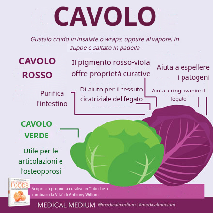 Cavolo: Alimento Curativo