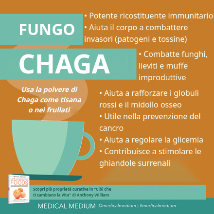 Fungo Chaga: Potenziatore del Sistema Immunitario