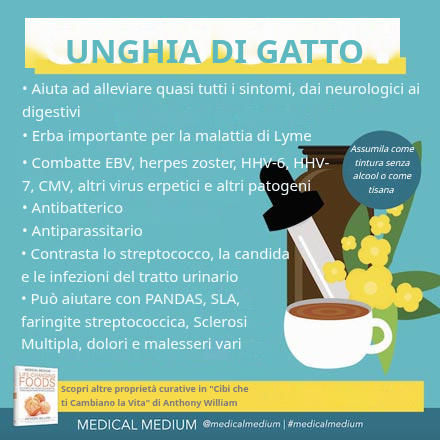 Artiglio del Gatto: L'Erba che Cambia la Vita