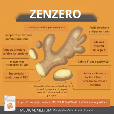 Zenzero: Alimento Curativo