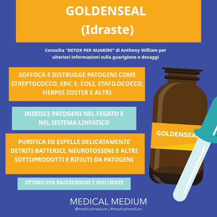 Sigillo d'oro: Antibatterico