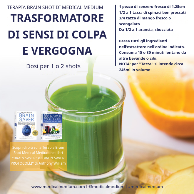 Spostatore di Colpa e Vergogna