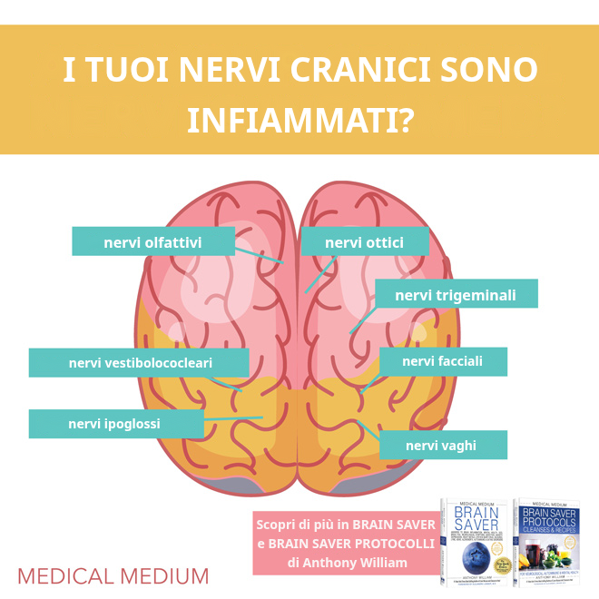 I tuoi nervi cranici sono infiammati?