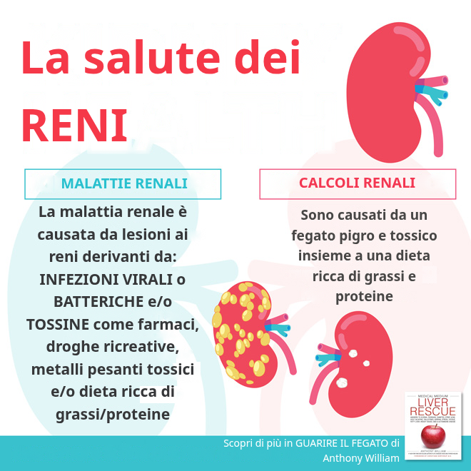 Salute dei Reni