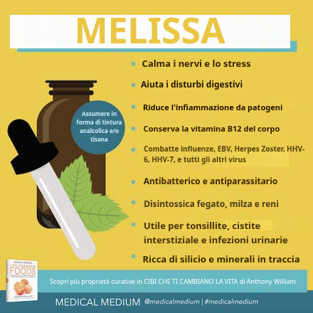 Melissa: un'erba che cambia la vita