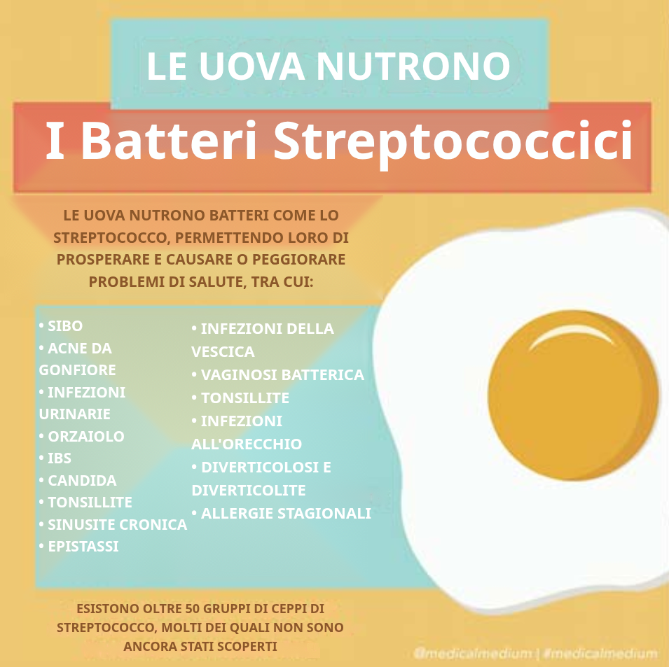 Le Uova Nutrono i Batteri Streptococco