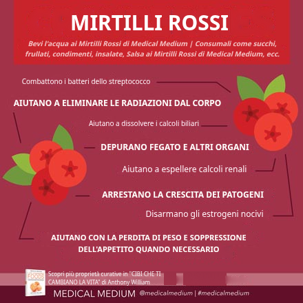 Benefici curativi dei mirtilli rossi