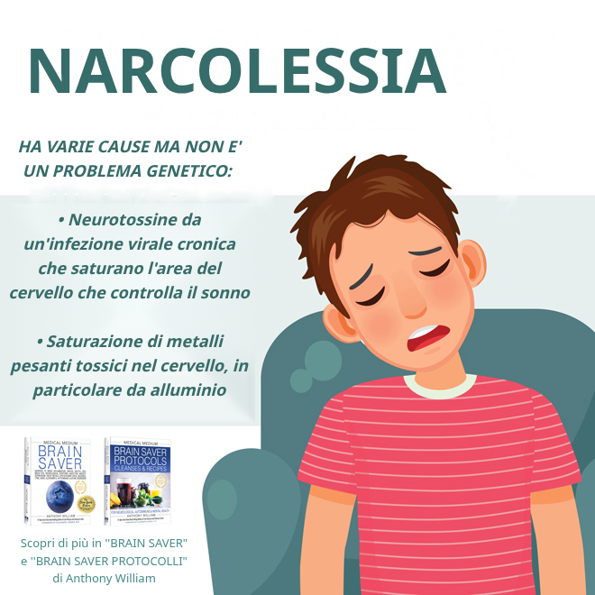 Narcolessia