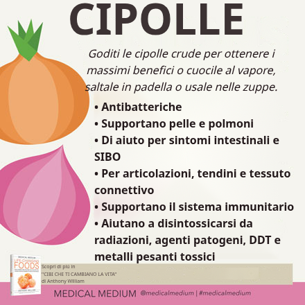 Cipolle: Arma Antibatterica