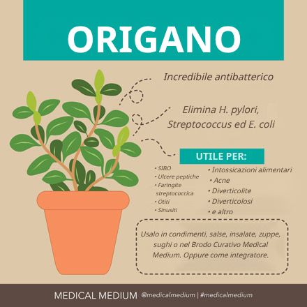 Origano: Killer di Batteri