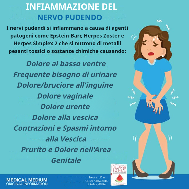Infiammazione del Nervo Pudendo