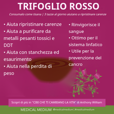 Trifoglio Rosso: Depuratore Linfatico