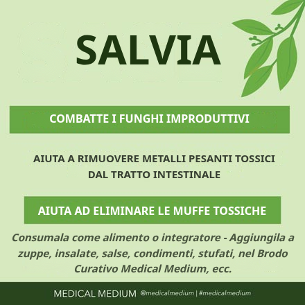 Salvia: Combattente dei Funghi