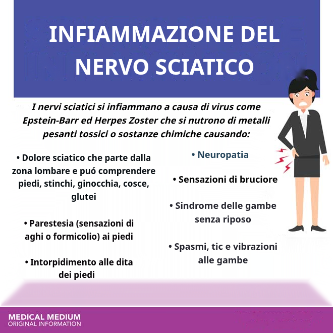 Infiammazione del Nervo Sciatico