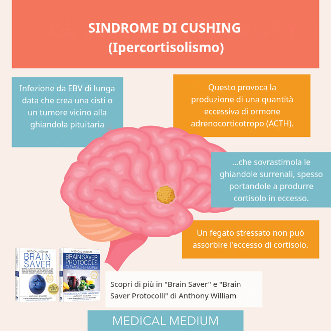 Sindrome di Cushing (Ipercortisolismo)