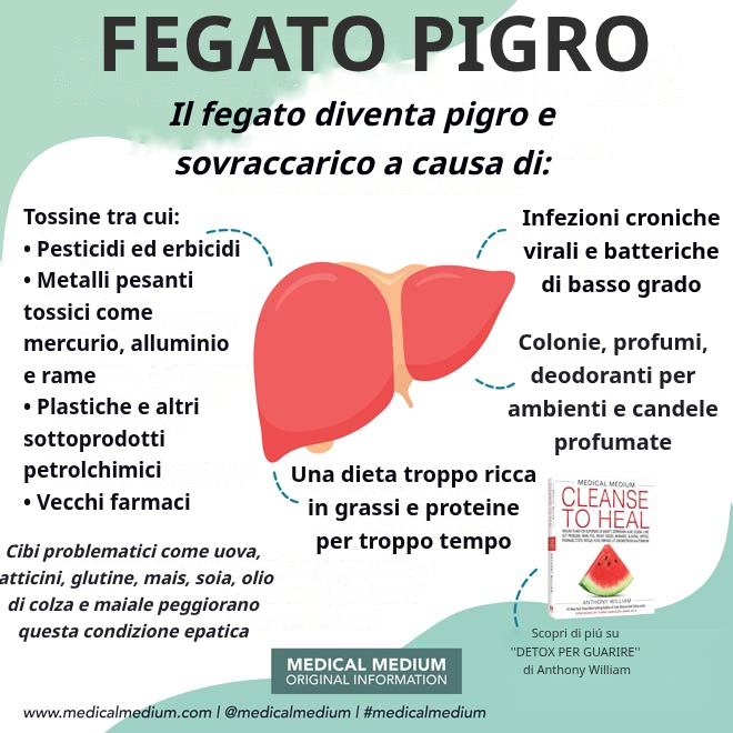 Fegato Pigro