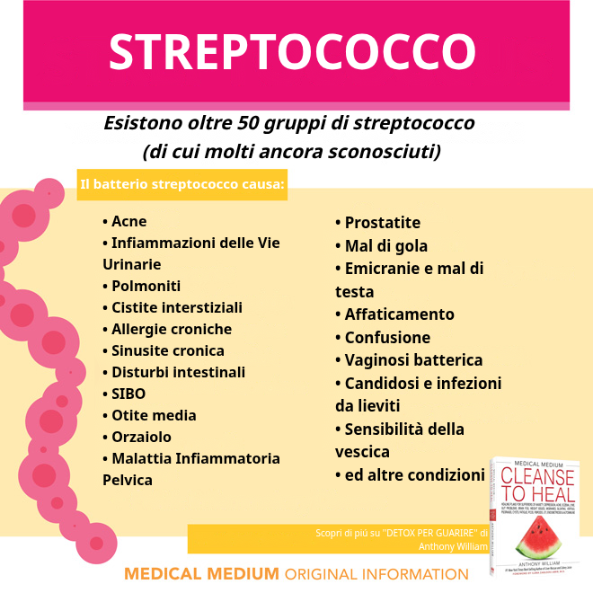 Streptococco