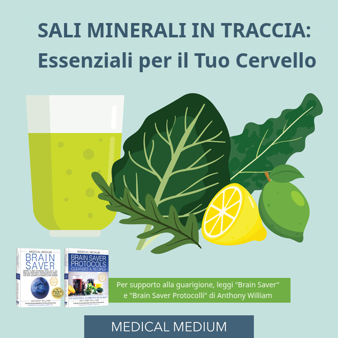 Sali di Minerali Traccia: Fondamentali per il Tuo Cervello