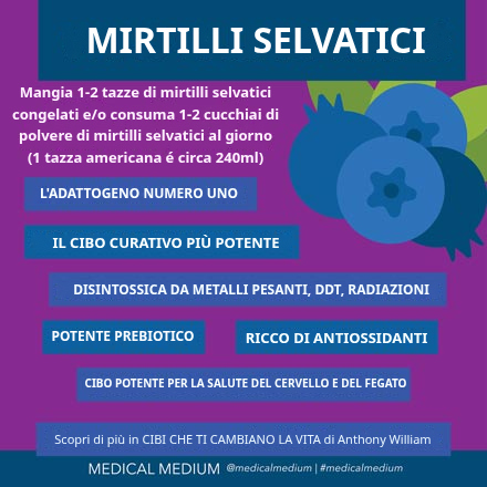 Mirtilli selvatici: il cibo della resurrezione