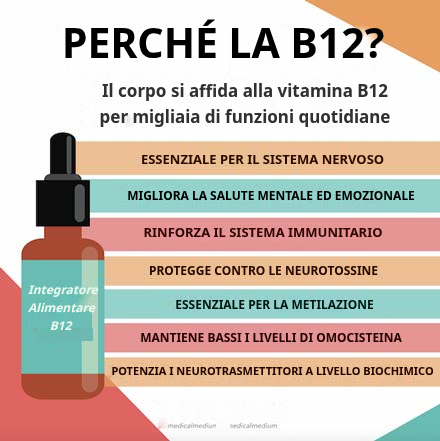 Perché la B12?