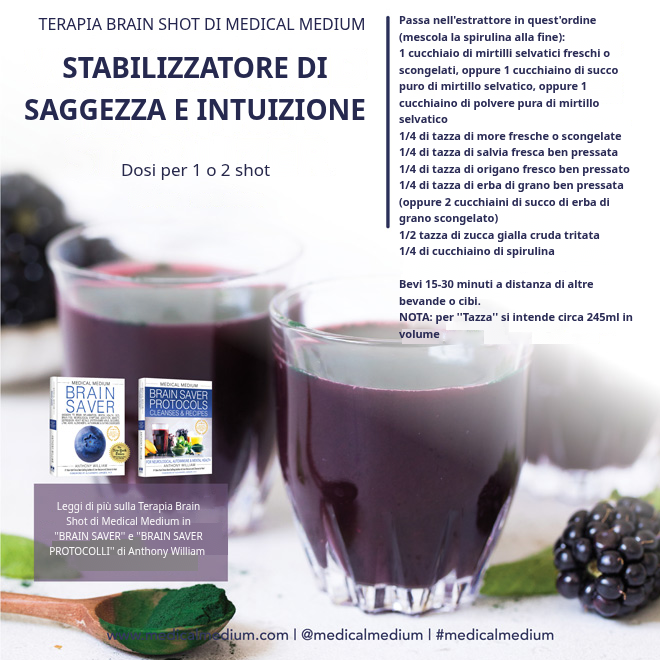 Stabilizzatore di Saggezza e Intuizione