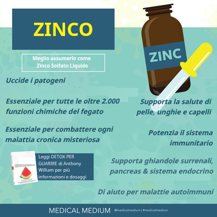 Zinco: Antisettico per i Patogeni