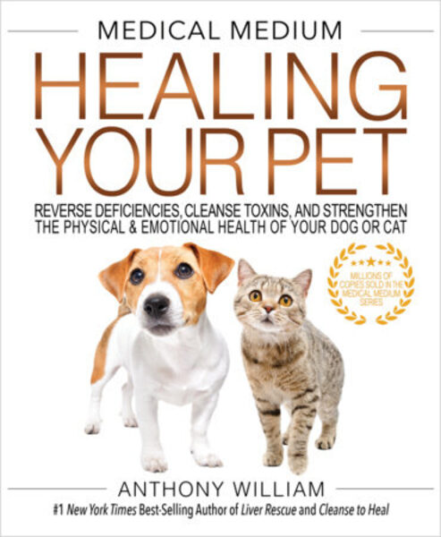 Copertina di «Healing Your Pet»